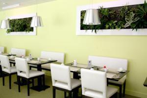 Western Quartier Latin Pantheon